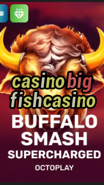 casino big fish casino-w4cy2mdjlx2bf.com